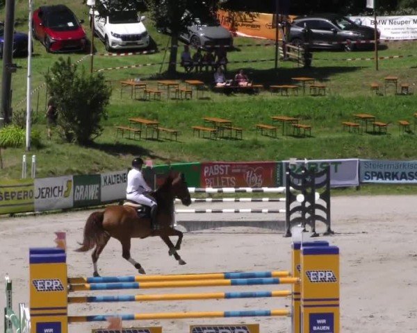 Reitturnier Zeltweg-Farrach 2023