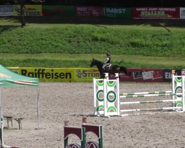 Reitturnier Zeltweg-Farrach 2023