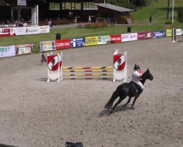 Reitturnier Zeltweg-Farrach 2023