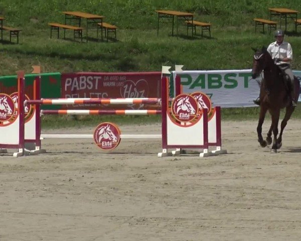 Reitturnier Zeltweg-Farrach 2023