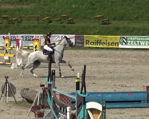Reitturnier Zeltweg-Farrach 2023