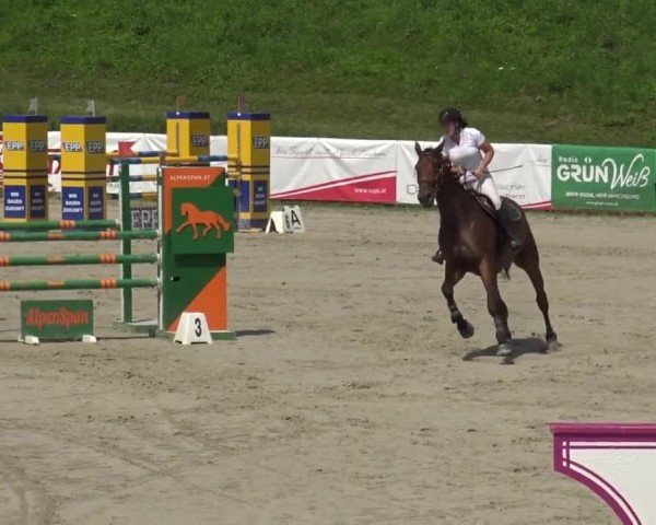 Reitturnier Zeltweg-Farrach 2023