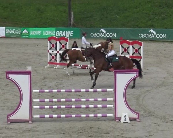 Reitturnier Zeltweg-Farrach 2023