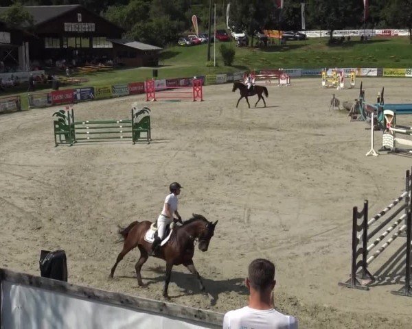 Reitturnier Zeltweg-Farrach 2023