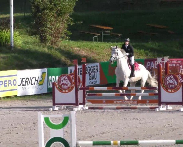 Reitturnier Zeltweg-Farrach 2023