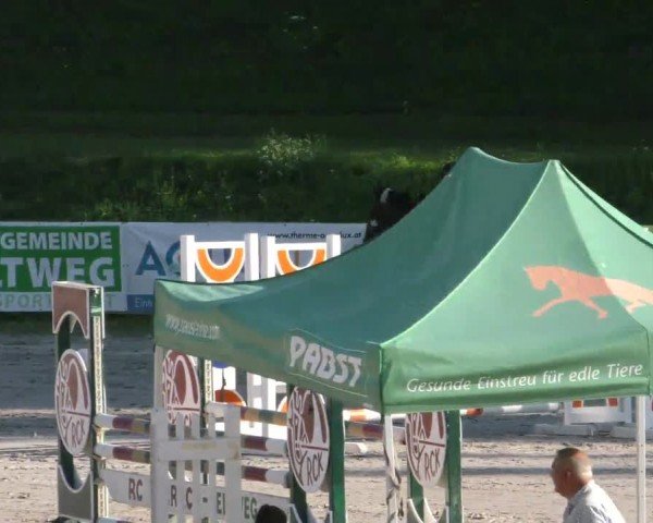 Reitturnier Zeltweg-Farrach 2023