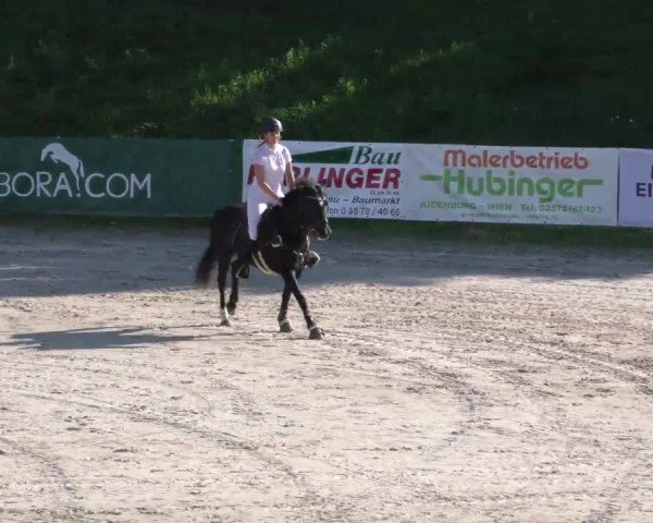 Reitturnier Zeltweg-Farrach 2023