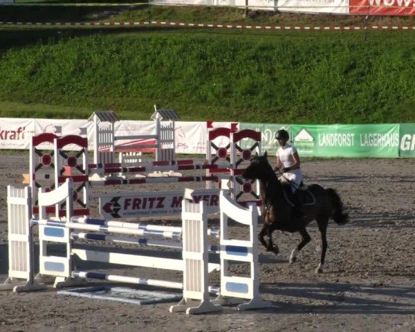 Reitturnier Zeltweg-Farrach 2023
