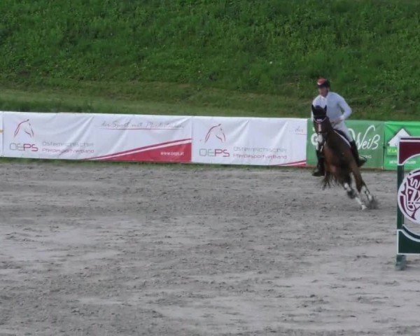 Reitturnier Zeltweg-Farrach 2023