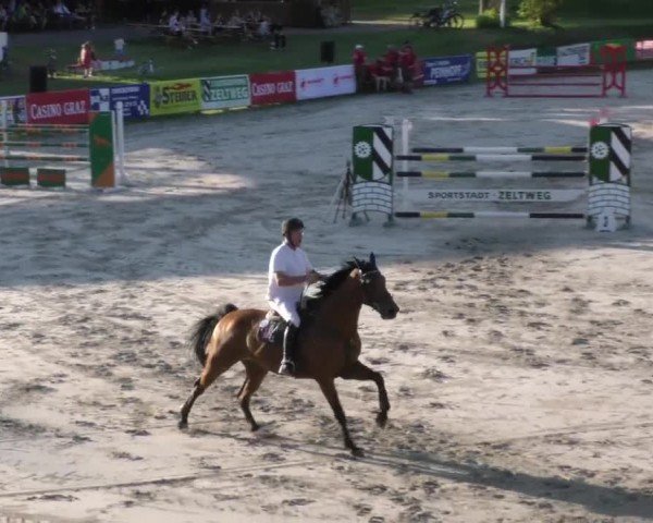 Reitturnier Zeltweg-Farrach 2023