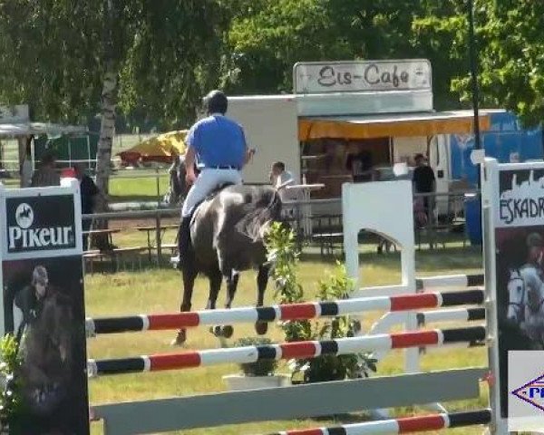 Pfingst-Reitturnier Kreuzkrug-Raddestorf 2012
