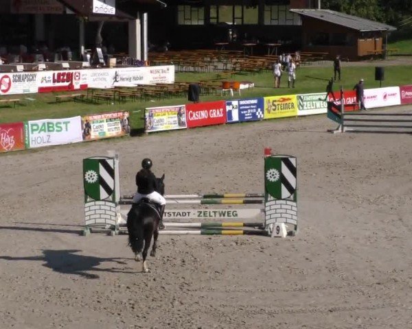Reitturnier Zeltweg-Farrach 2023
