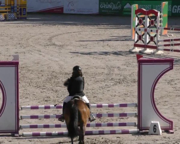 Reitturnier Zeltweg-Farrach 2023