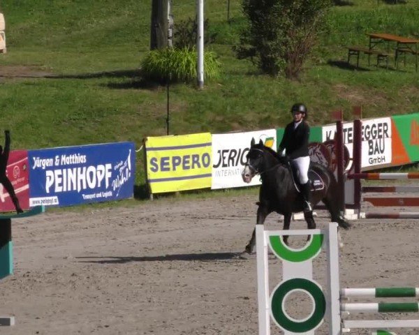 Reitturnier Zeltweg-Farrach 2023