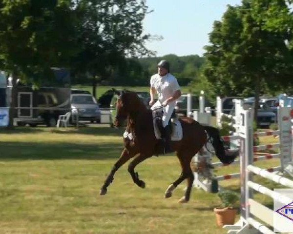 Pfingst-Reitturnier Kreuzkrug-Raddestorf 2012