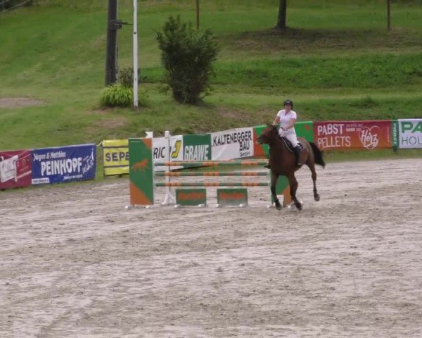 Reitturnier Zeltweg-Farrach 2023