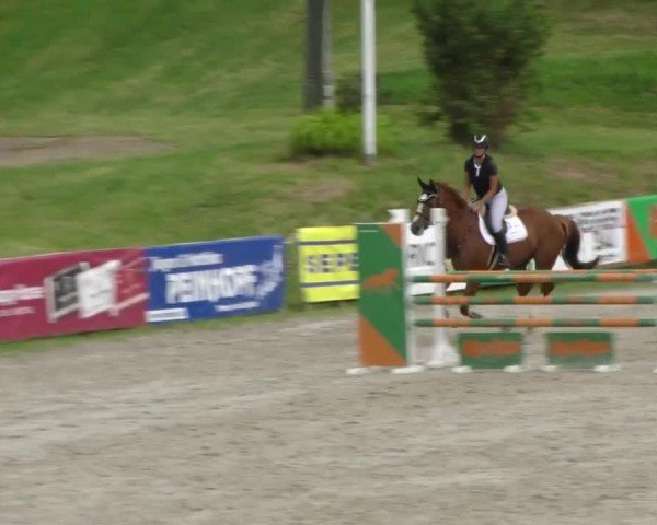 Reitturnier Zeltweg-Farrach 2023
