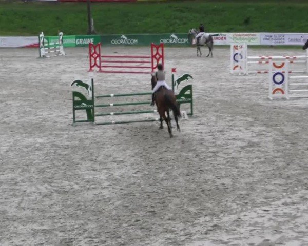 Reitturnier Zeltweg-Farrach 2023