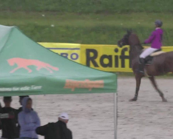 Reitturnier Zeltweg-Farrach 2023