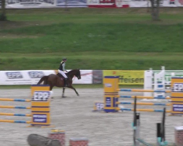 Reitturnier Zeltweg-Farrach 2023