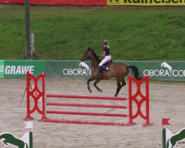 Reitturnier Zeltweg-Farrach 2023