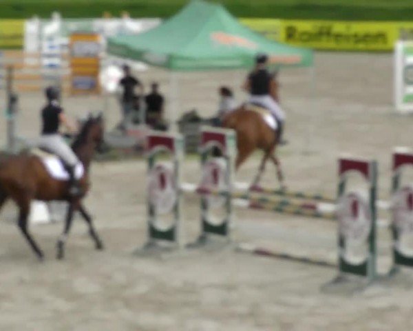 Reitturnier Zeltweg-Farrach 2023