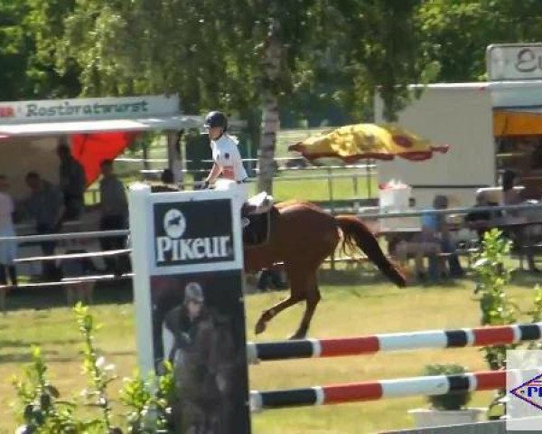 Pfingst-Reitturnier Kreuzkrug-Raddestorf 2012