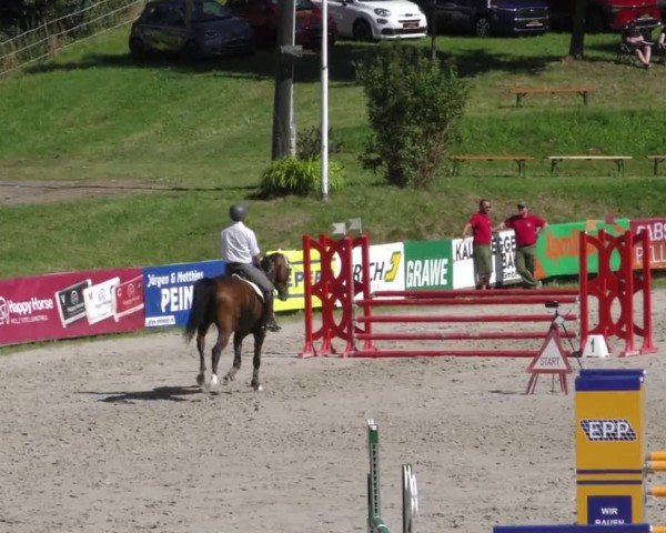 Reitturnier Zeltweg-Farrach 2023