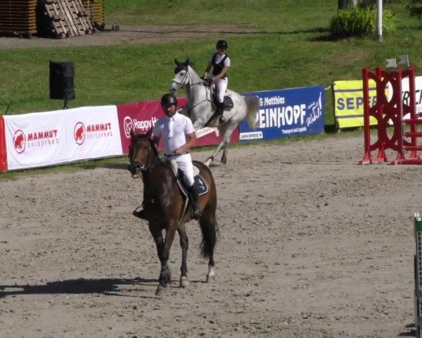 Reitturnier Zeltweg-Farrach 2023