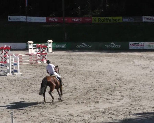 Reitturnier Zeltweg-Farrach 2023