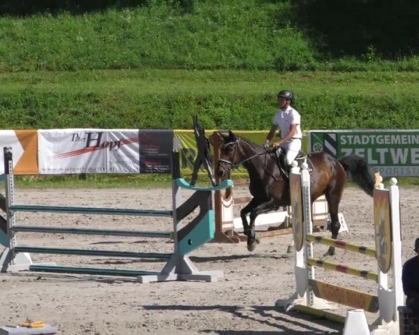 Reitturnier Zeltweg-Farrach 2023