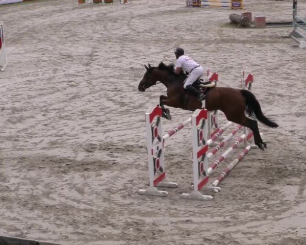 Reitturnier Zeltweg-Farrach 2023