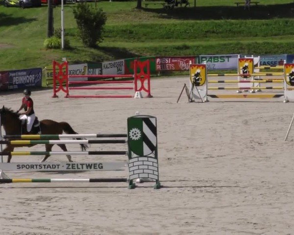 Reitturnier Zeltweg-Farrach 2023
