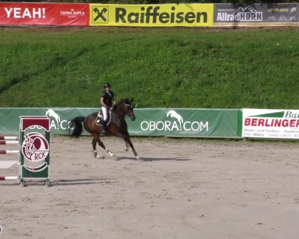 Reitturnier Zeltweg-Farrach 2023