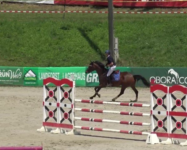 Reitturnier Zeltweg-Farrach 2023