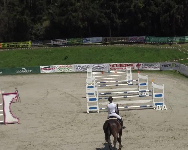 Reitturnier Zeltweg-Farrach 2023