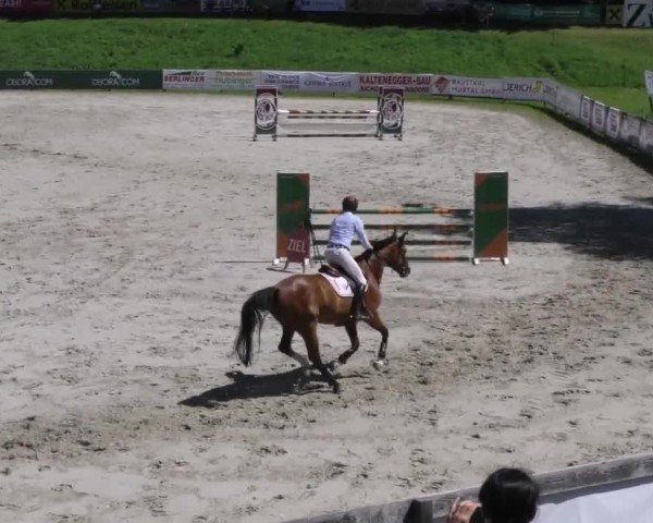 Reitturnier Zeltweg-Farrach 2023