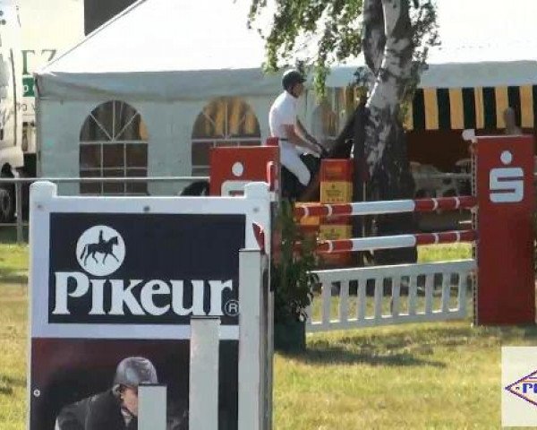 Pfingst-Reitturnier Kreuzkrug-Raddestorf 2012