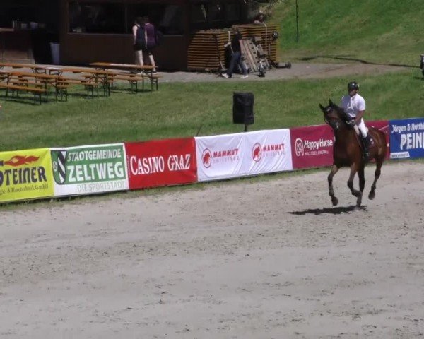 Reitturnier Zeltweg-Farrach 2023