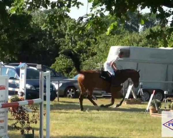 Pfingst-Reitturnier Kreuzkrug-Raddestorf 2012