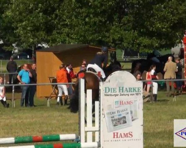 Pfingst-Reitturnier Kreuzkrug-Raddestorf 2012