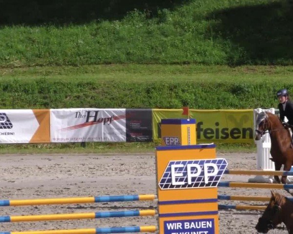 Reitturnier Zeltweg-Farrach 2023