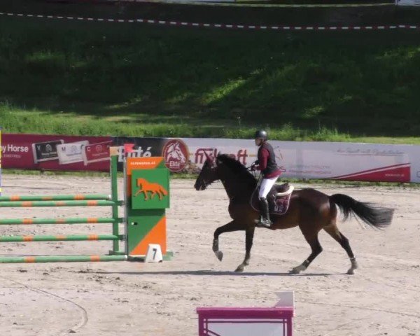 Reitturnier Zeltweg-Farrach 2023