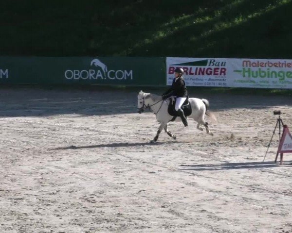 Reitturnier Zeltweg-Farrach 2023
