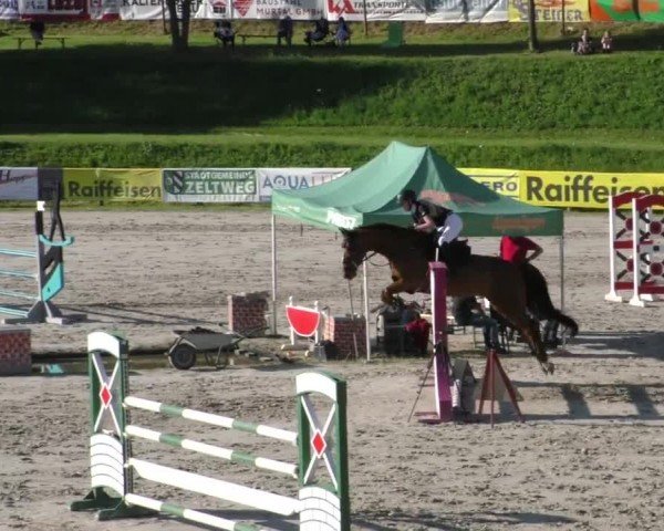 Reitturnier Zeltweg-Farrach 2023