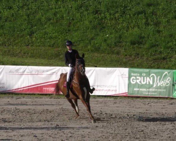 Reitturnier Zeltweg-Farrach 2023