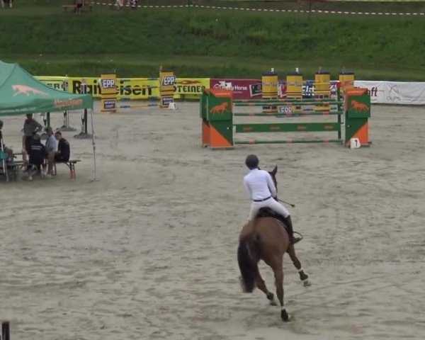 Reitturnier Zeltweg-Farrach 2023