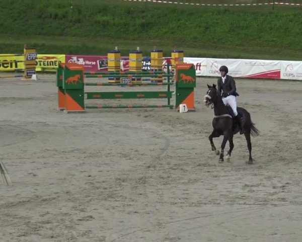 Reitturnier Zeltweg-Farrach 2023