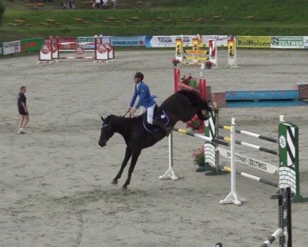 Reitturnier Zeltweg-Farrach 2023