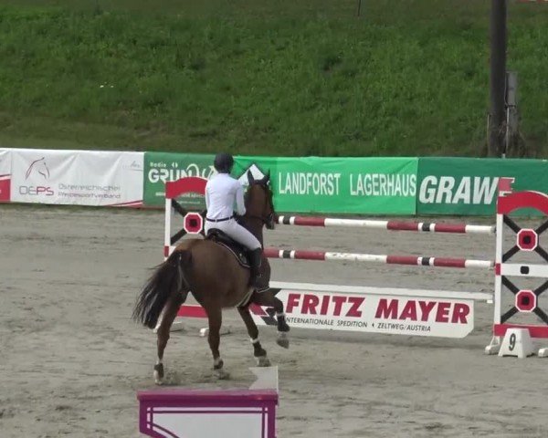 Reitturnier Zeltweg-Farrach 2023